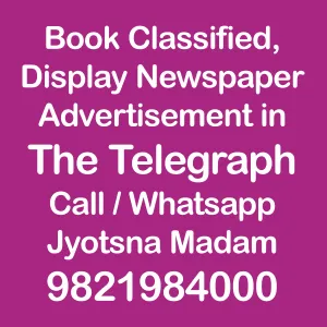 The Telegraph newspaper ad Rates for 2024